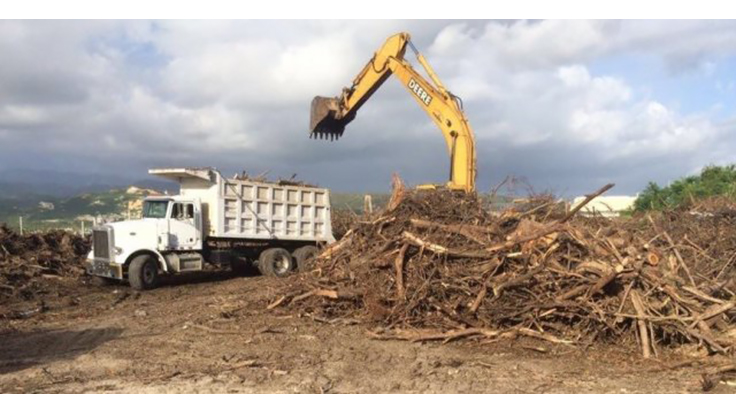 US Army Corps of Engineers recycles wood and metal during Puerto Rico cleanup