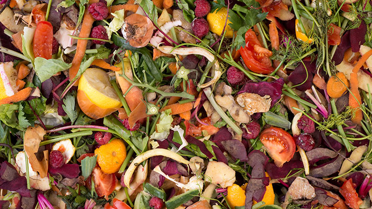 WWF partners with FFAR and the Walmart Foundation for food waste research