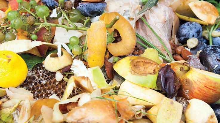 California legislature passes two food waste bills