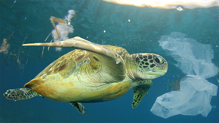 New competition seeks solutions for plastic pollution