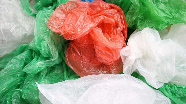 Maine and Vermont ban plastic bags the same day