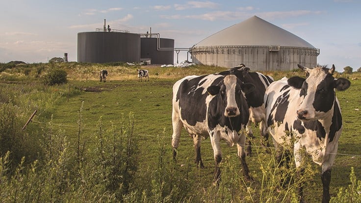 Anaerobic digestion sector forming a clearer picture