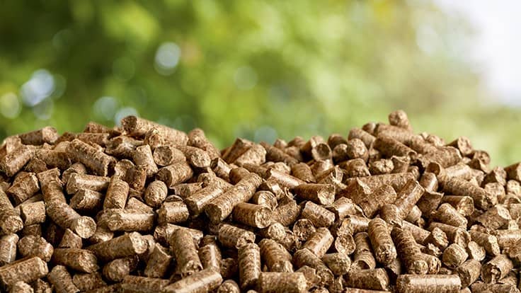 MASBio launches $10M project to research biomass opportunities
