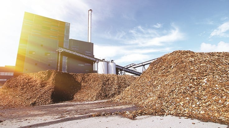 Ecowaste's investment in wood processing line creates market for C&D materials