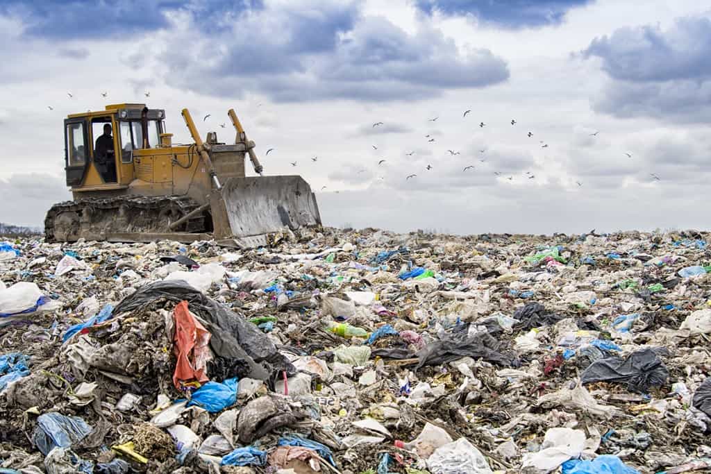 Wisconsin landfill study raises alarm over food waste tonnages
