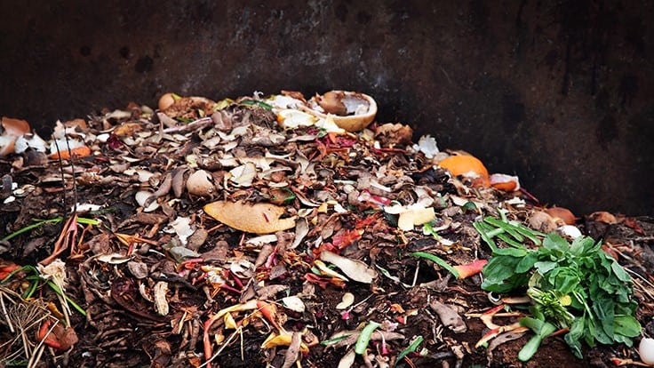 North Carolina county diverts over 946,000 pounds of food from landfills through composting