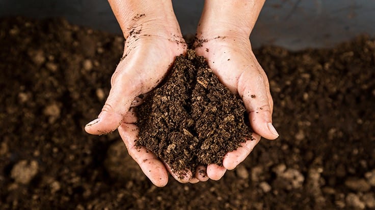 Compost organizations join together to launch International Compost Alliance