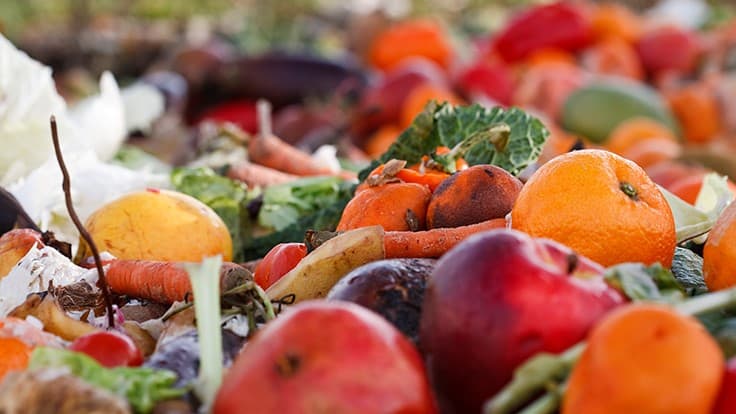 Apples, oranges and other vegetable food waste