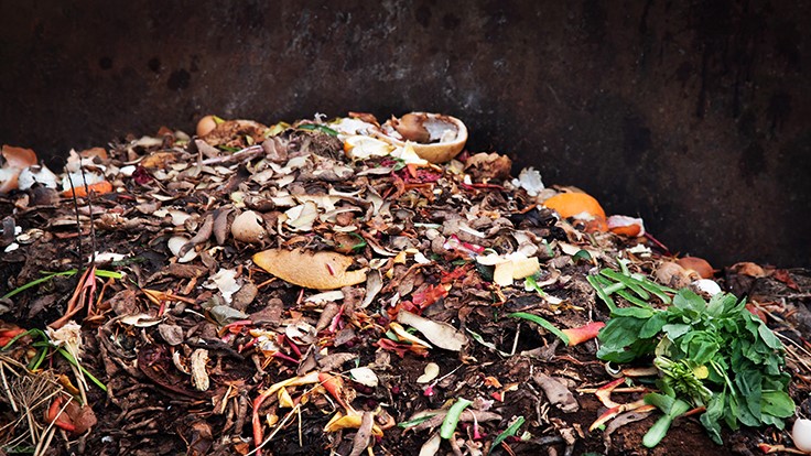 Food waste pile