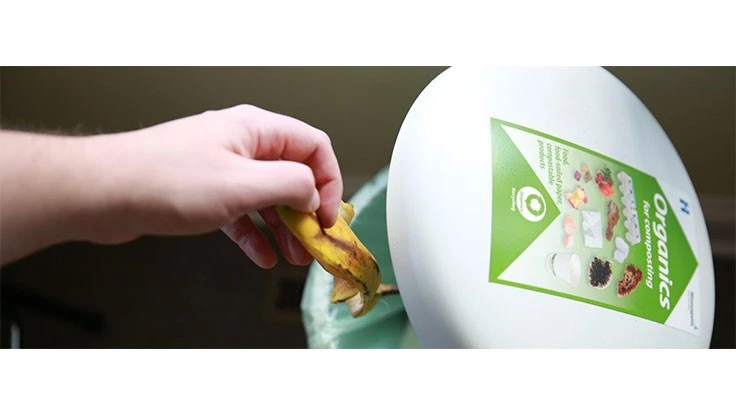 Composting in America study shares composting best practices.
