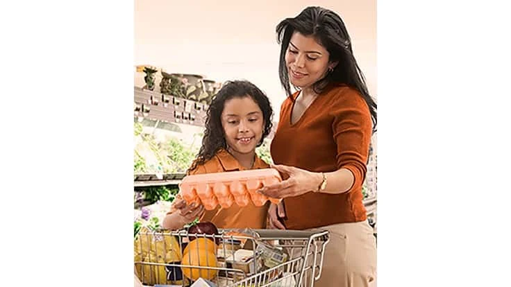 egg carton grocery cart 