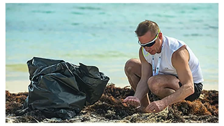 Beach cleanup