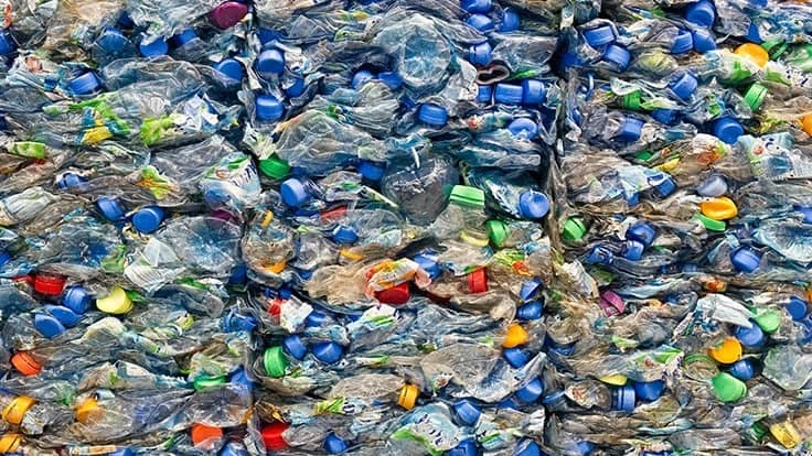 Crushed plastic bottles