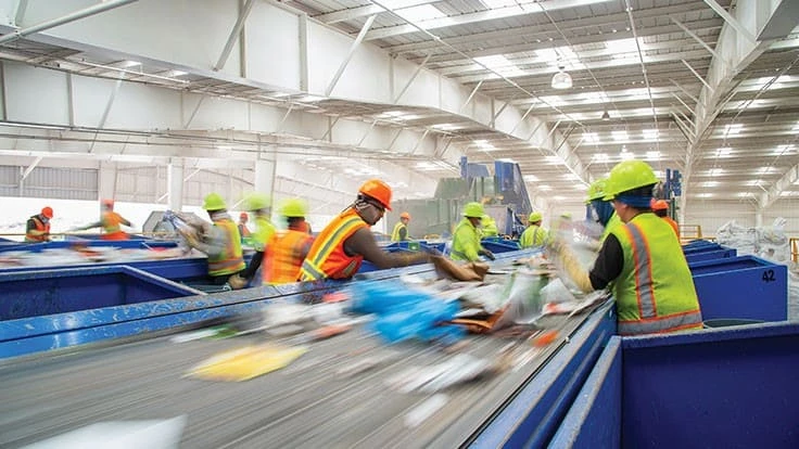 people sorting in mrf