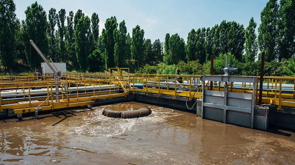 municipal sewage sludge