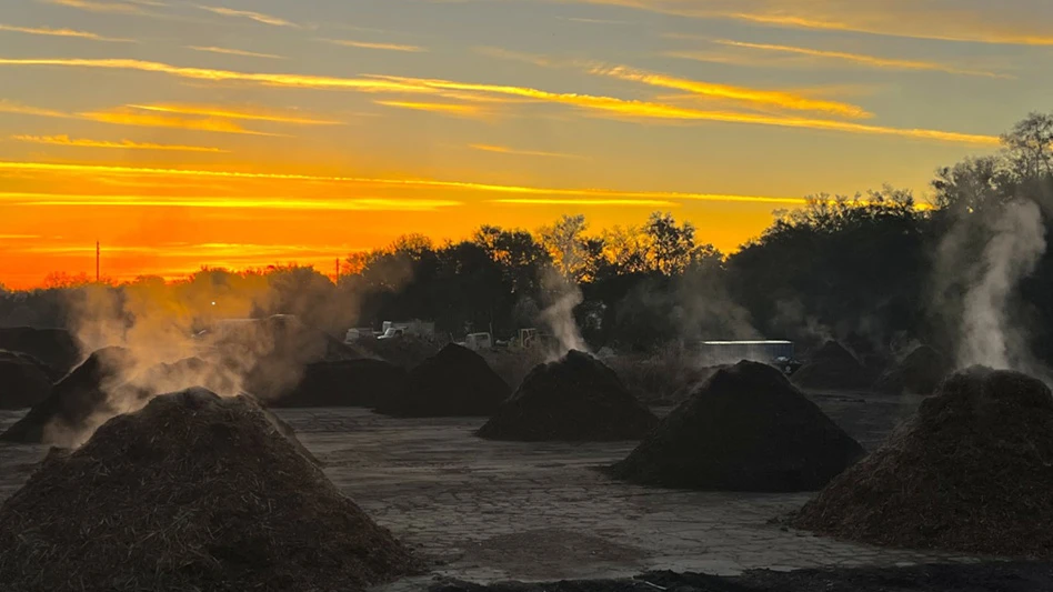 Steaming compost piles at sunrise