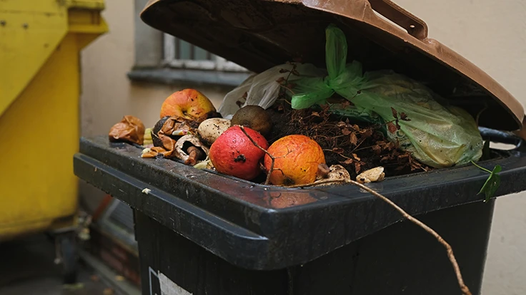 food waste in a collection bin
