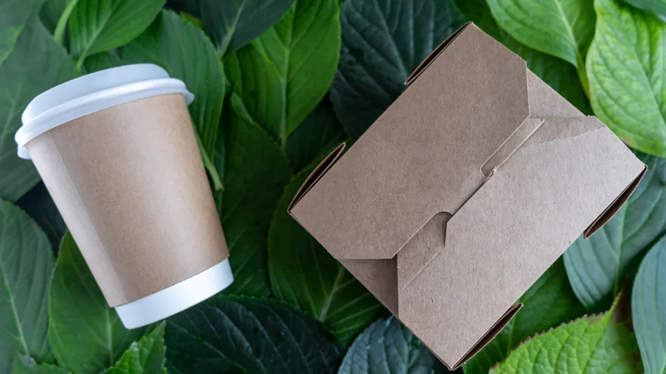 compostable cup and box with leaves