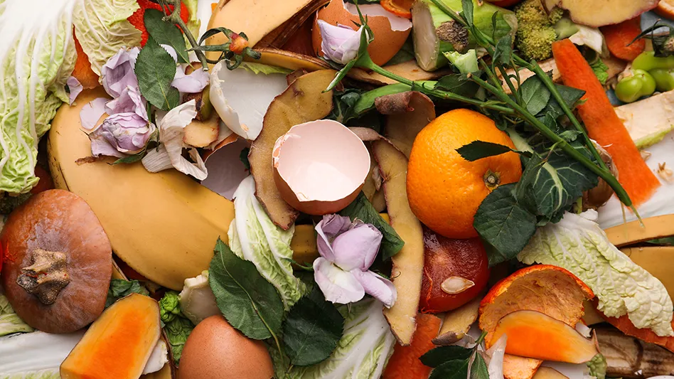 food waste pile