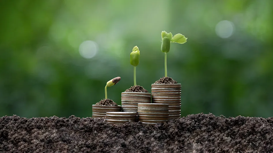 sprouts growing on stacks of coins
