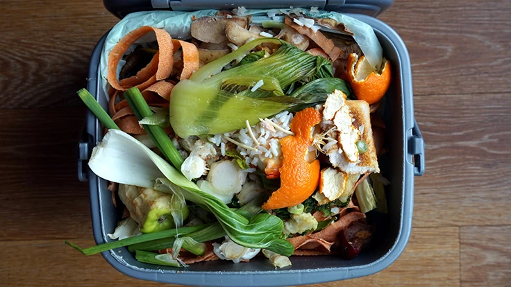 photo of a food waste bin