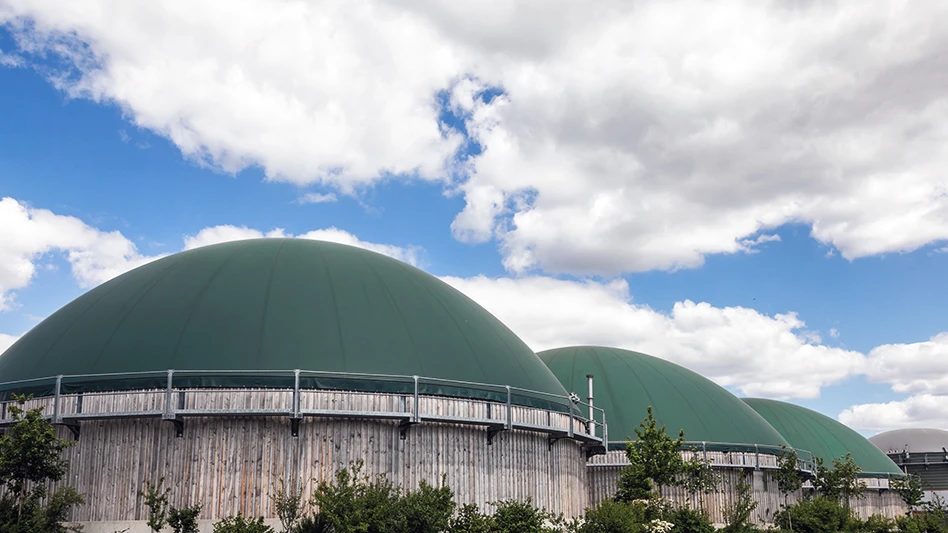 Dmitry Naumov | stock.adobe.com