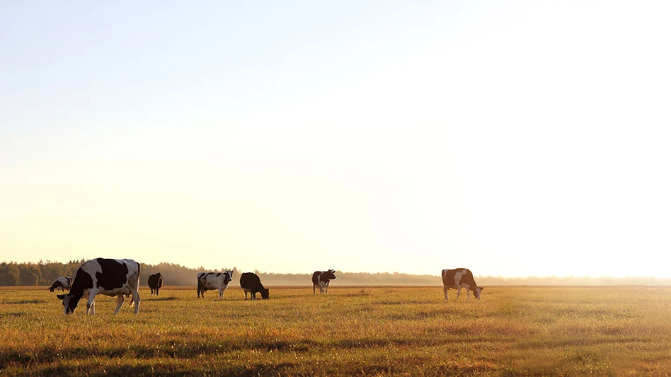 Clean Energy, Maas Energy Works to build 9 RNG production facilities ...