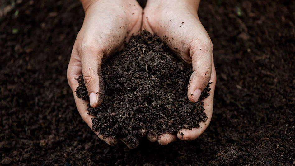 hand reaching into compost soil for planting