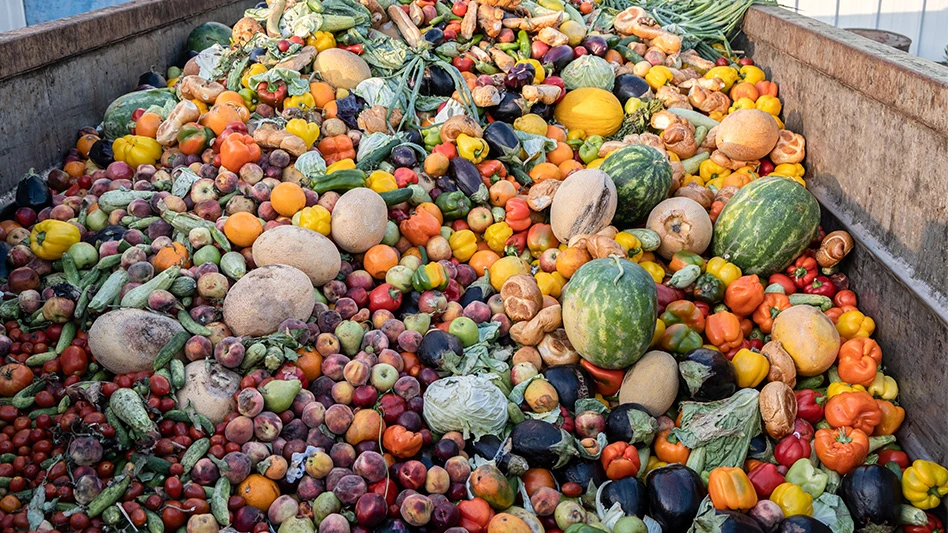 food, fruit and vegetables in composting bin