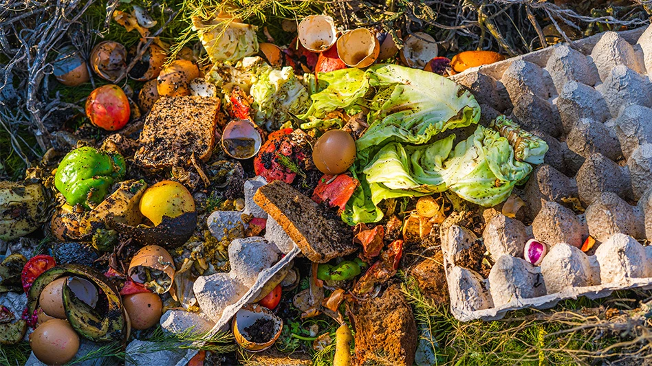 Lettuce, eggshells and other food waste pictured in grass.