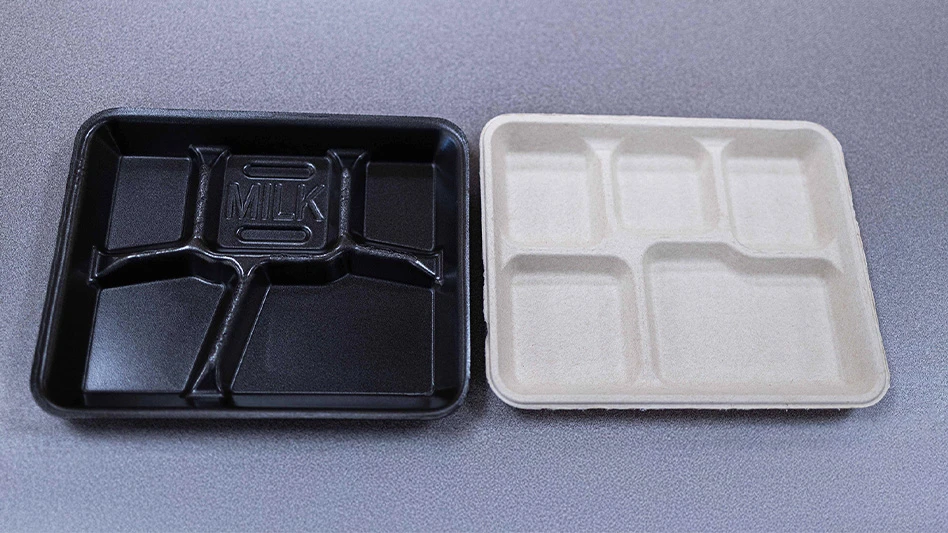compostable vs traditional lunch tray