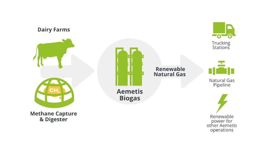 aemetis dairy graphic
